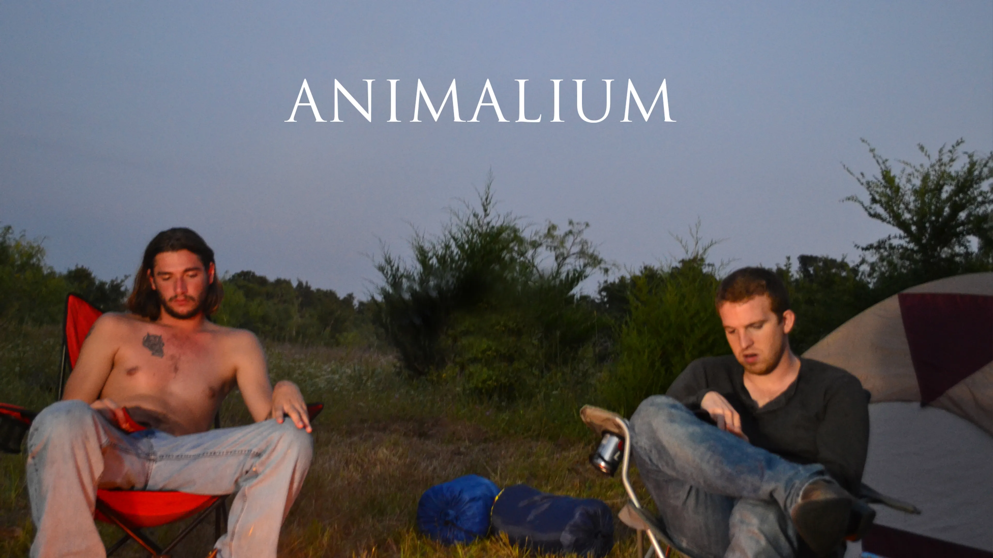 Animalium poster